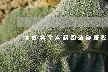 38名个人获司法部表彰