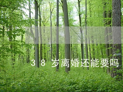 38岁离婚还能要吗 38岁离婚还能要吗
