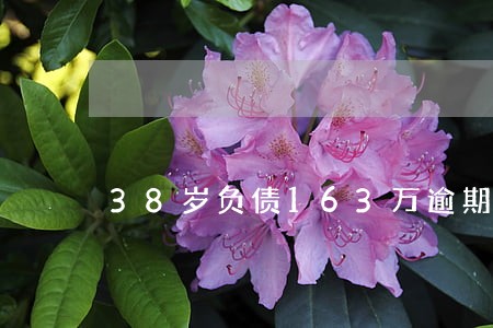 38岁负债163万逾期怎么办 38岁负债163万逾期怎么办