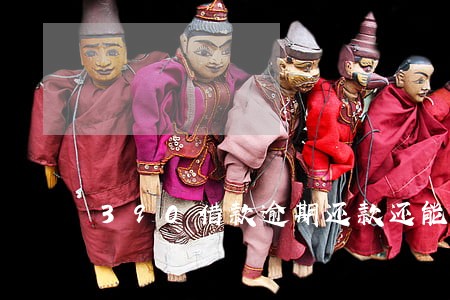390借款逾期还款还能用吗 390借款逾期还款还能用吗