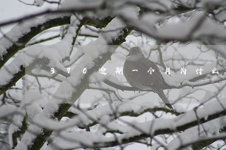 390逾期一个月为什么不催收了