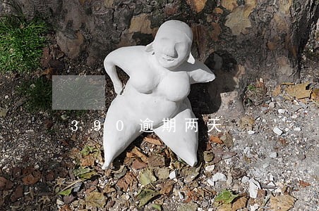 390逾期两天
