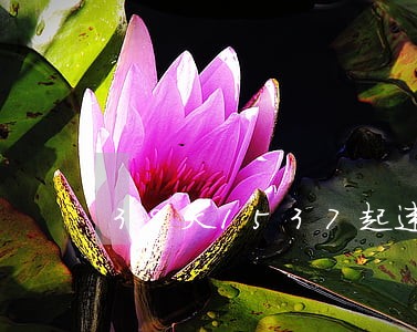 39天1537起违法 39天1537起违法