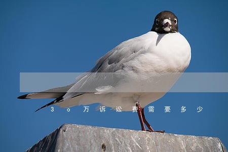 3o万诉讼费需要多少