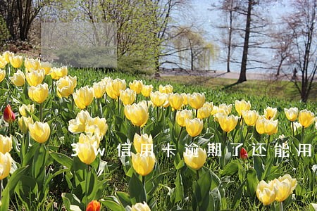 3w信用卡逾期了还能用多久 3w信用卡逾期了还能用多久