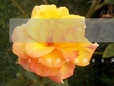 3万信用卡逾期80天有多少利息 3万信用卡逾期80天有多少利息