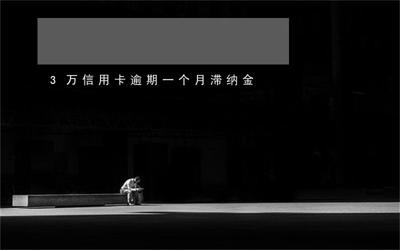 3万信用卡逾期一个月滞纳金 3万信用卡逾期一个月滞纳金