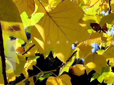3万信用卡逾期三个月后果