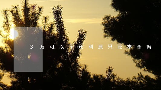 3万可以不还利息只还本金吗 3万可以不还利息只还本金吗