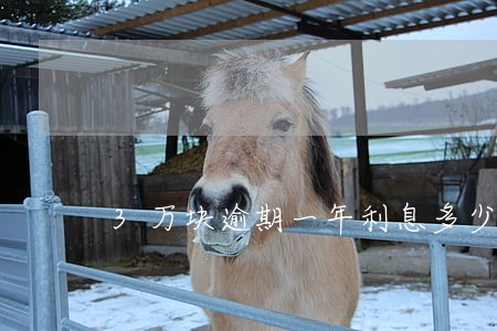3万块逾期一年利息多少 3万块逾期一年利息多少