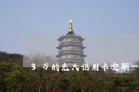 3万的光大信用卡逾期一天多少钱 3万的光大信用卡逾期一天多少钱