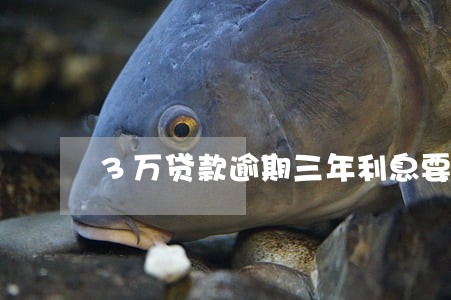 3万贷款逾期三年利息要多少 3万贷款逾期三年利息要多少