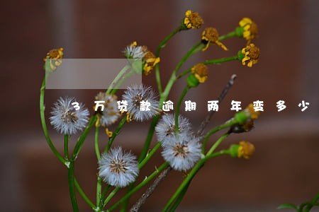 3万贷款逾期两年变多少钱