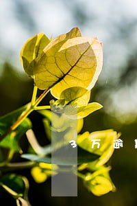 3万逾期1天利息是多少 3万逾期1天利息是多少