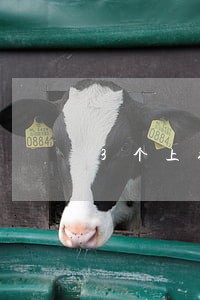 3个上征信的网贷逾期2年 3个上征信的网贷逾期2年