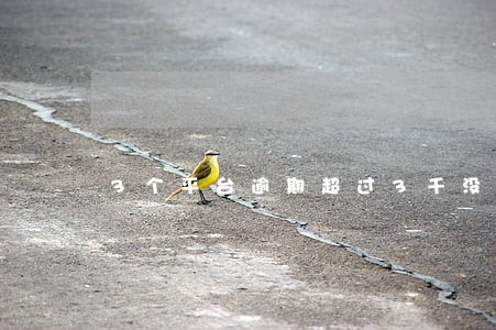 3个平台逾期超过3千没钱还 3个平台逾期超过3千没钱还