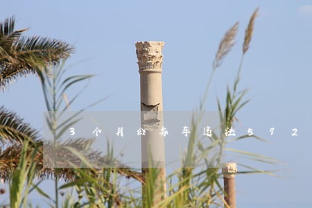 3个月公务车违法592车次 3个月公务车违法592车次