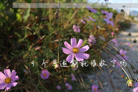 3个月逾期就催收了吗 3个月逾期就催收了吗