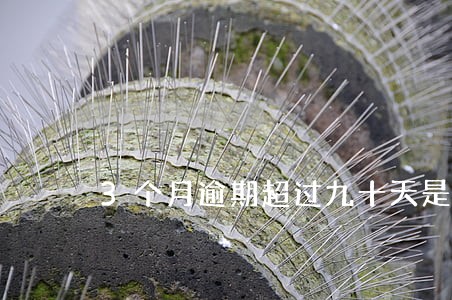 3个月逾期超过九十天是什么意思 3个月逾期超过九十天是什么意思