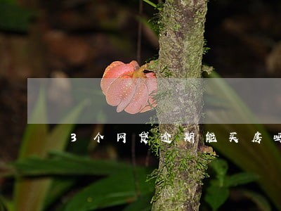 3个网贷逾期能买房吗 3个网贷逾期能买房吗