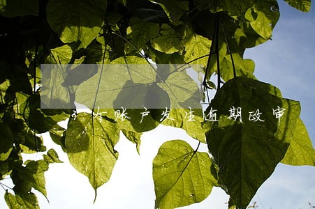 3个账户发生逾期政审