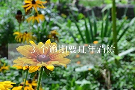 3个逾期要几年消除 3个逾期要几年消除