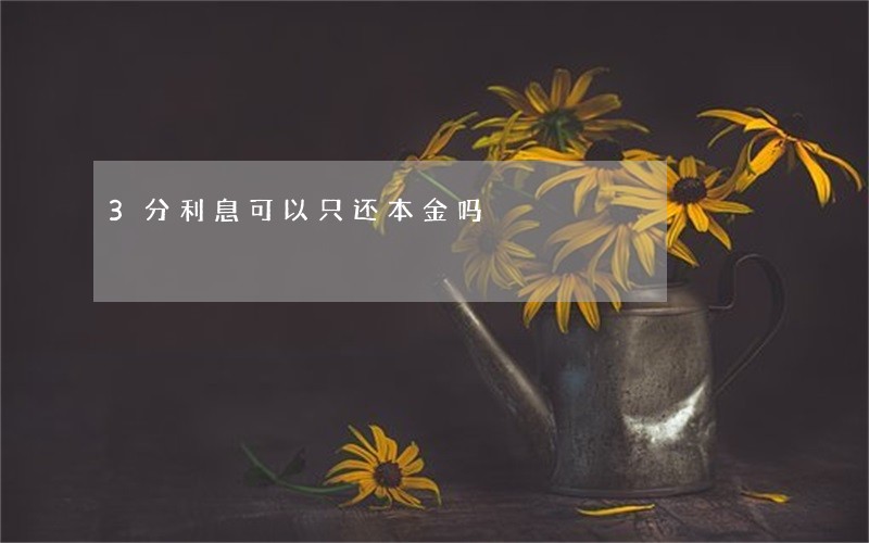 3分利息可以只还本金吗 3分利息可以只还本金吗