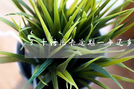 3千信用卡逾期一年还多少 3千信用卡逾期一年还多少
