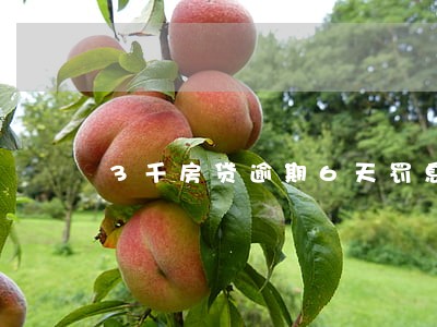 3千房贷逾期6天罚息3000 3千房贷逾期6天罚息3000