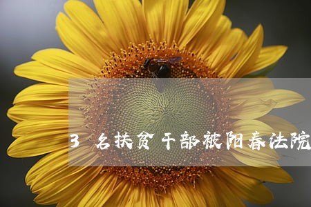3名扶贫干部被阳春法院判刑 3名扶贫干部被阳春法院判刑