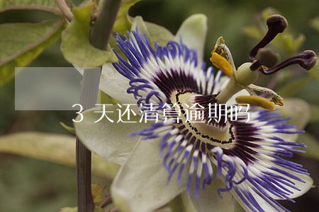 3天还清算逾期吗 3天还清算逾期吗