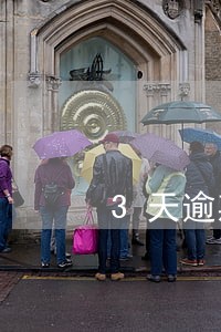 3天逾期违约金