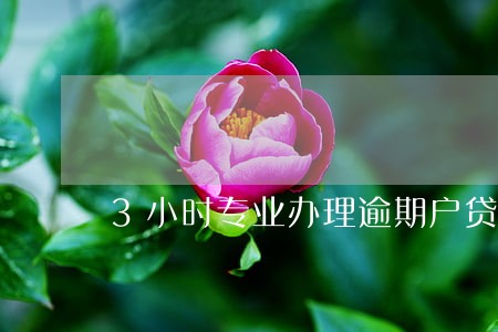 3小时专业办理逾期户贷款 3小时专业办理逾期户贷款