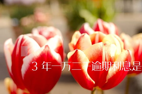 3年一万二千逾期利息是多少 3年一万二千逾期利息是多少
