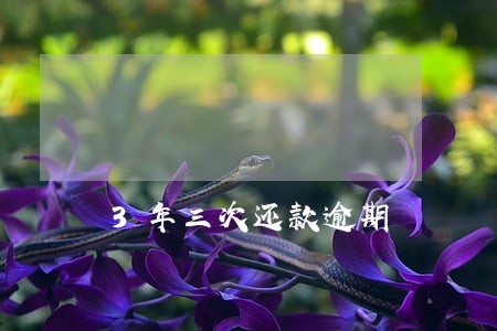 3年三次还款逾期 3年三次还款逾期