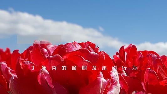 3年内的逾期及违约行为 3年内的逾期及违约行为