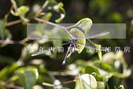3年内逾期6次还能贷房贷吗 3年内逾期6次还能贷房贷吗