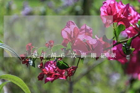 3年前6次逾期记录 3年前6次逾期记录