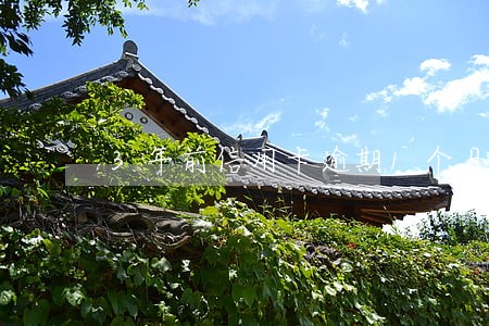 3年前信用卡逾期1个月