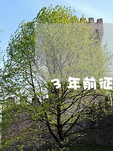 3年前征信逾期11次算黑户吗 3年前征信逾期11次算黑户吗