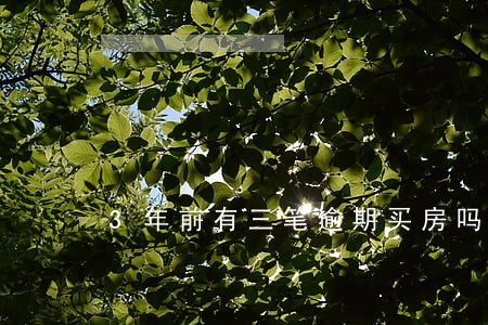 3年前有三笔逾期买房吗 3年前有三笔逾期买房吗