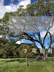 3年前有逾期现在能申请信用卡吗 3年前有逾期现在能申请信用卡吗