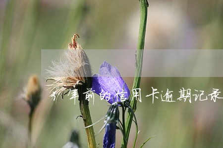 3年前的信用卡逾期记录
