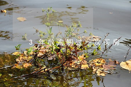 3年前逾期过一次买房 3年前逾期过一次买房