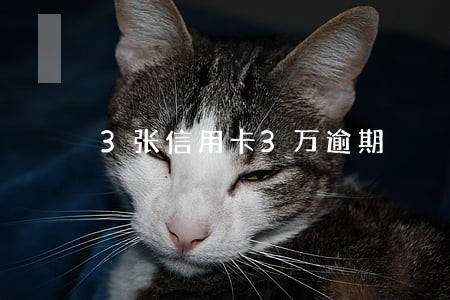 3张信用卡3万逾期 3张信用卡3万逾期