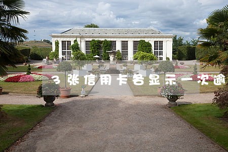 3张信用卡各显示一次逾期 3张信用卡各显示一次逾期