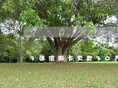 3张信用卡欠款30万逾期 3张信用卡欠款30万逾期