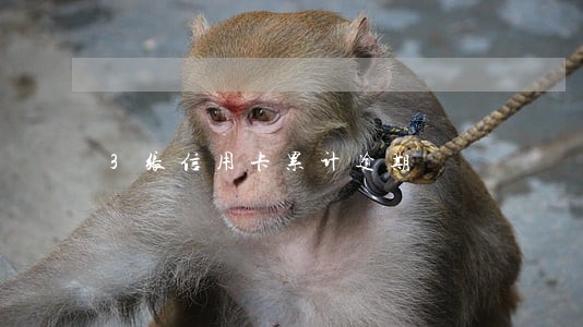 3张信用卡累计逾期