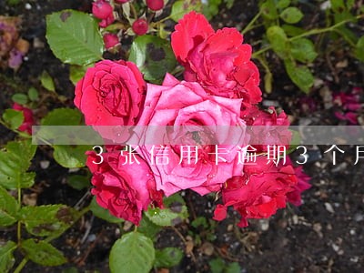 3张信用卡逾期3个月 3张信用卡逾期3个月