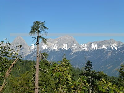 3张信用卡逾期三次 3张信用卡逾期三次